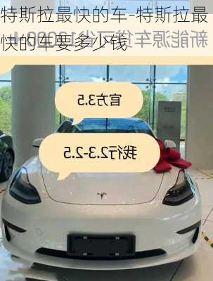 特斯拉最快的車-特斯拉最快的車要多少錢