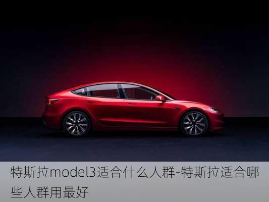 特斯拉model3適合什么人群-特斯拉適合哪些人群用最好