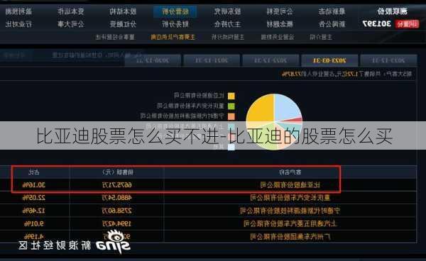 比亞迪股票怎么買(mǎi)不進(jìn)-比亞迪的股票怎么買(mǎi)