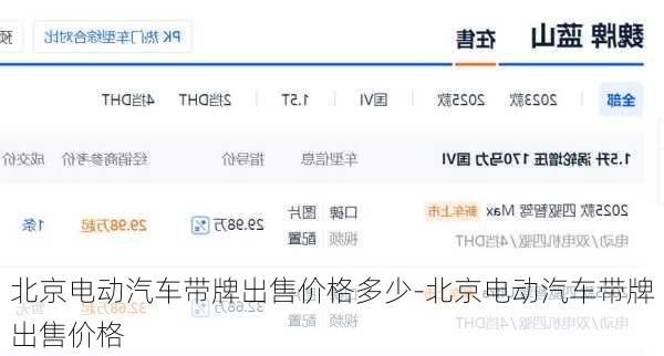北京電動(dòng)汽車帶牌出售價(jià)格多少-北京電動(dòng)汽車帶牌出售價(jià)格