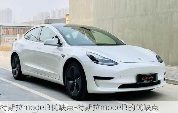 特斯拉model3優(yōu)缺點(diǎn)-特斯拉model3的優(yōu)缺點(diǎn)