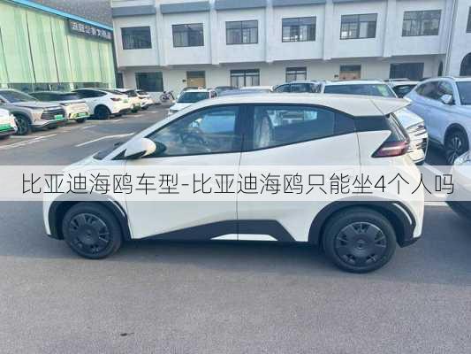 比亞迪海鷗車(chē)型-比亞迪海鷗只能坐4個(gè)人嗎