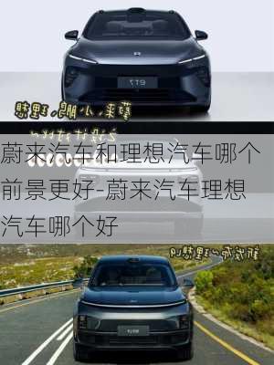 蔚來汽車和理想汽車哪個前景更好-蔚來汽車?yán)硐肫嚹膫€好