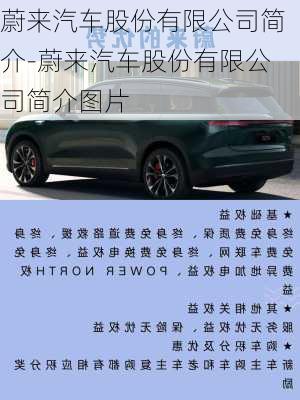 蔚來汽車股份有限公司簡介-蔚來汽車股份有限公司簡介圖片