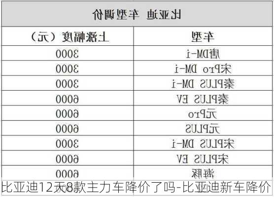 比亞迪12天8款主力車降價了嗎-比亞迪新車降價