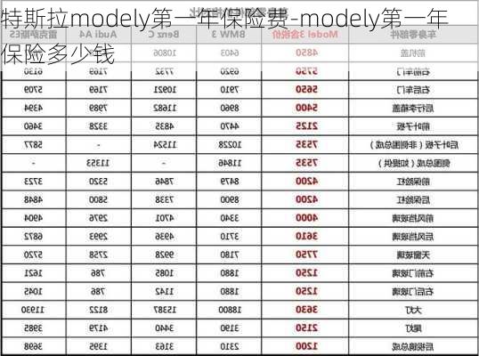 特斯拉modely第一年保險費(fèi)-modely第一年保險多少錢