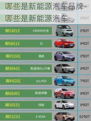 哪些是新能源汽車品牌-哪些是新能源汽車