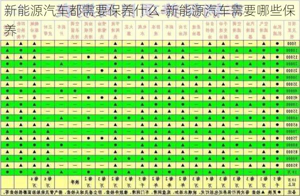 新能源汽車都需要保養(yǎng)什么-新能源汽車需要哪些保養(yǎng)