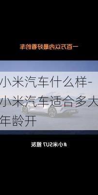 小米汽車什么樣-小米汽車適合多大年齡開