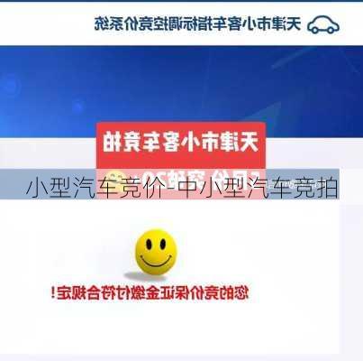 小型汽車競價(jià)-中小型汽車競拍