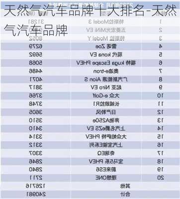 天然氣汽車品牌十大排名-天然氣汽車品牌