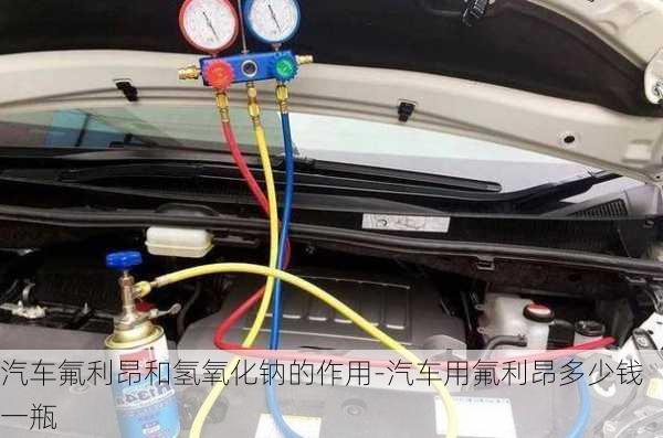 汽車氟利昂和氫氧化鈉的作用-汽車用氟利昂多少錢一瓶