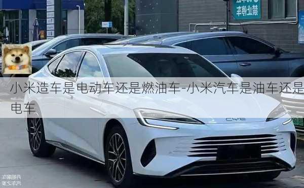 小米造車是電動車還是燃油車-小米汽車是油車還是電車