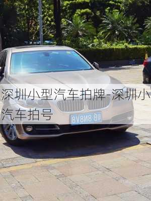 深圳小型汽車拍牌-深圳小汽車拍號(hào)