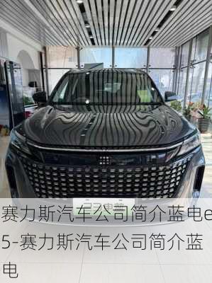 賽力斯汽車公司簡(jiǎn)介藍(lán)電e5-賽力斯汽車公司簡(jiǎn)介藍(lán)電