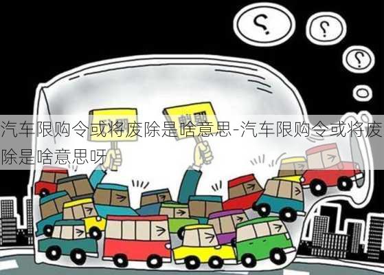 汽車限購令或?qū)U除是啥意思-汽車限購令或?qū)U除是啥意思呀