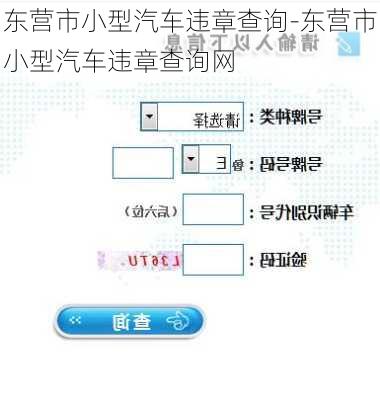 東營市小型汽車違章查詢-東營市小型汽車違章查詢網(wǎng)