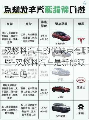 雙燃料汽車的優(yōu)缺點(diǎn)有哪些-雙燃料汽車是新能源汽車嗎