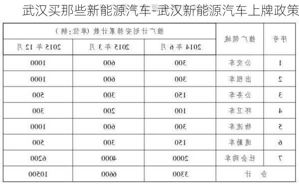 武漢買那些新能源汽車-武漢新能源汽車上牌政策