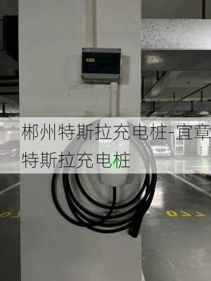 郴州特斯拉充電樁-宜章特斯拉充電樁