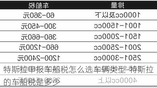 特斯拉申報(bào)車船稅怎么選車輛類型-特斯拉的車船稅是多少