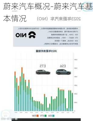 蔚來汽車概況-蔚來汽車基本情況