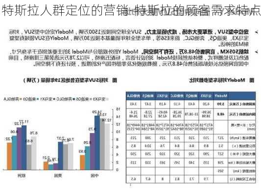 特斯拉人群定位的營銷-特斯拉的顧客需求特點