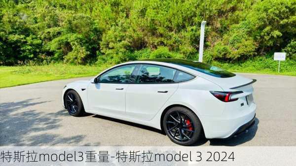 特斯拉model3重量-特斯拉model 3 2024