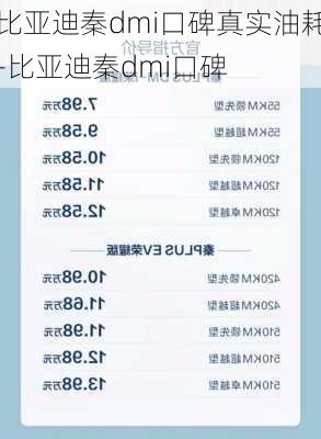 比亞迪秦dmi口碑真實油耗-比亞迪秦dmi口碑
