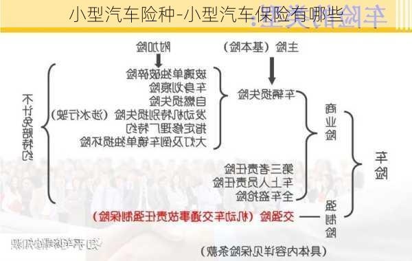 小型汽車險(xiǎn)種-小型汽車保險(xiǎn)有哪些