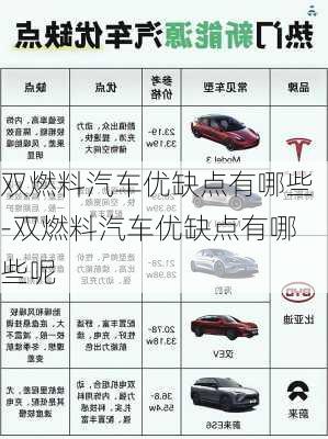 雙燃料汽車優(yōu)缺點(diǎn)有哪些-雙燃料汽車優(yōu)缺點(diǎn)有哪些呢