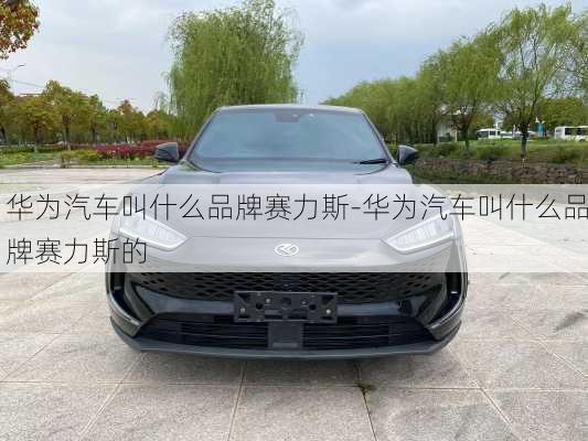 華為汽車叫什么品牌賽力斯-華為汽車叫什么品牌賽力斯的