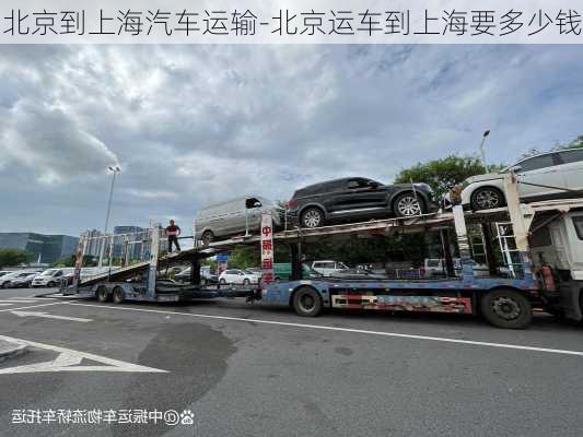 北京到上海汽車運輸-北京運車到上海要多少錢