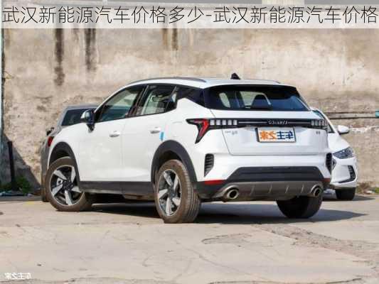 武漢新能源汽車價格多少-武漢新能源汽車價格