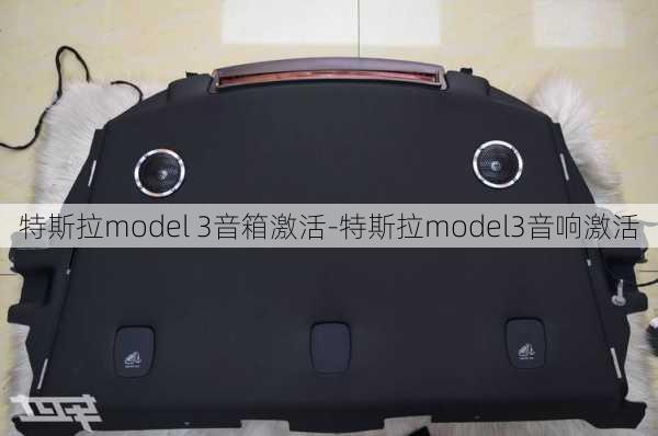 特斯拉model 3音箱激活-特斯拉model3音響激活