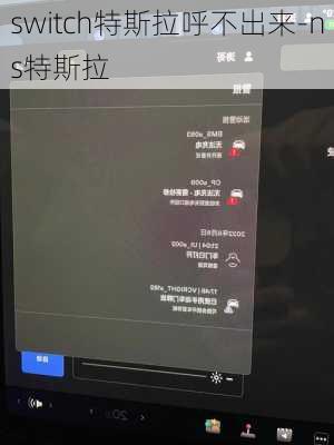 switch特斯拉呼不出來-ns特斯拉
