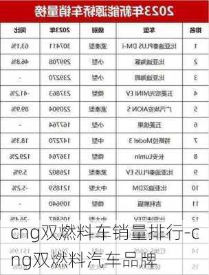 cng雙燃料車銷量排行-cng雙燃料汽車品牌