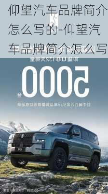 仰望汽車(chē)品牌簡(jiǎn)介怎么寫(xiě)的-仰望汽車(chē)品牌簡(jiǎn)介怎么寫(xiě)