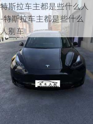 特斯拉車主都是些什么人-特斯拉車主都是些什么人別車