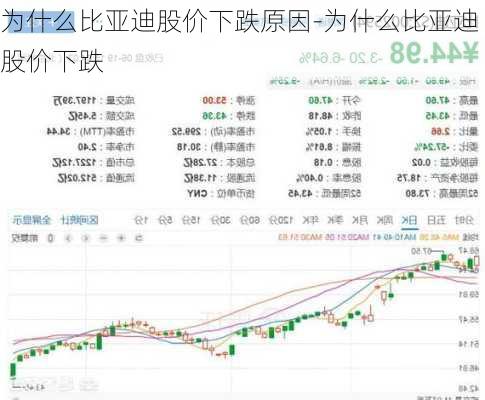 為什么比亞迪股價下跌原因-為什么比亞迪股價下跌