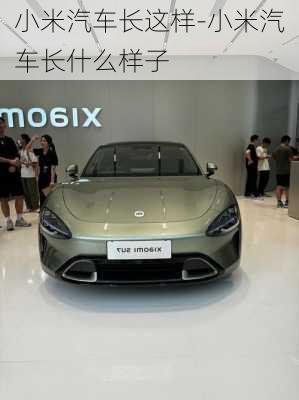 小米汽車長(zhǎng)這樣-小米汽車長(zhǎng)什么樣子