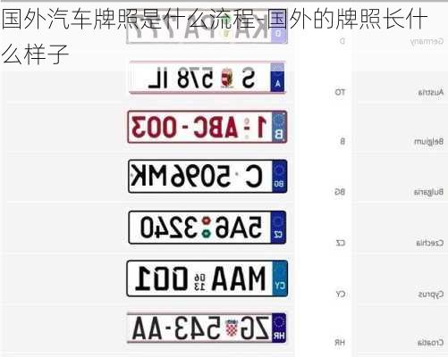 國外汽車牌照是什么流程-國外的牌照長什么樣子