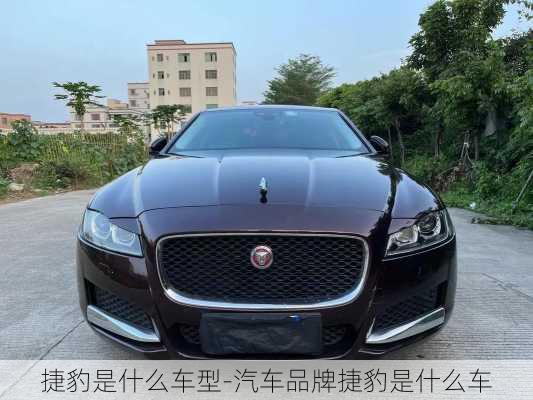 捷豹是什么車型-汽車品牌捷豹是什么車