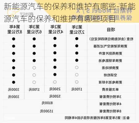 新能源汽車的保養(yǎng)和維護(hù)有哪些-新能源汽車的保養(yǎng)和維護(hù)有哪些項目