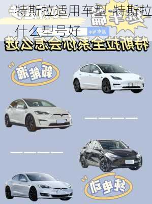 特斯拉適用車型-特斯拉什么型號好