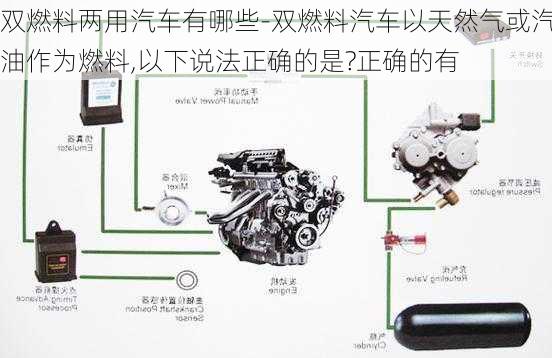 雙燃料兩用汽車有哪些-雙燃料汽車以天然氣或汽油作為燃料,以下說法正確的是?正確的有