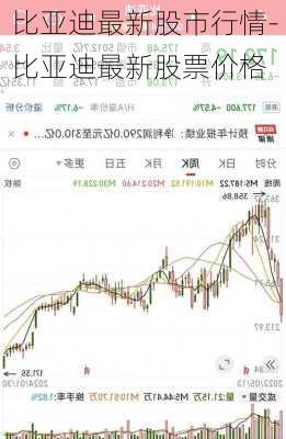 比亞迪最新股市行情-比亞迪最新股票價(jià)格