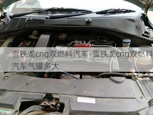 雪鐵龍cng雙燃料汽車-雪鐵龍cng雙燃料汽車氣罐多大