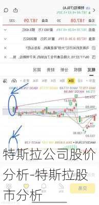 特斯拉公司股價(jià)分析-特斯拉股市分析