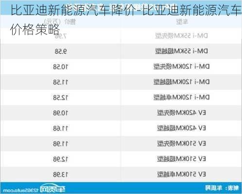 比亞迪新能源汽車(chē)降價(jià)-比亞迪新能源汽車(chē)價(jià)格策略